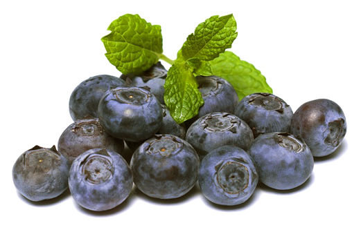 Blueberry