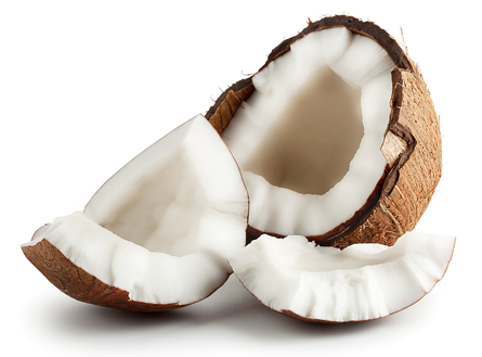 椰子 Coconut