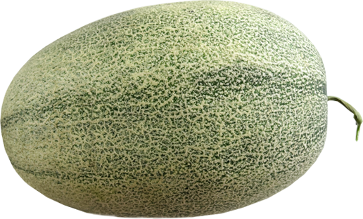 哈密瓜 Hamimelon