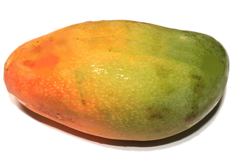 芒果 Mango