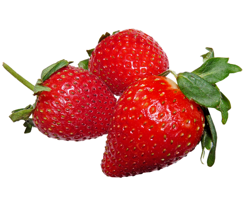 草莓 Strawberry