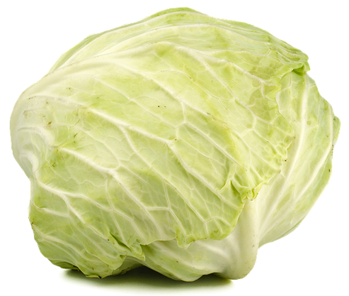 Cabbage