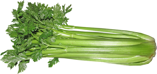 芹菜 Celery