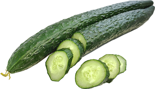 黄瓜 Cucumber