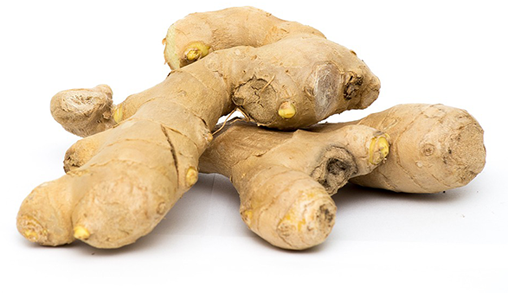 生姜 Ginger
