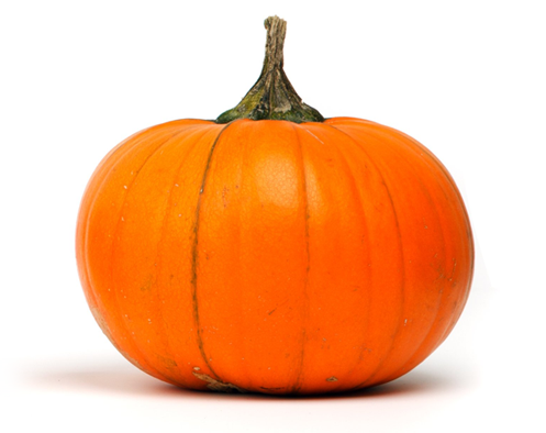 南瓜 Pumpkin