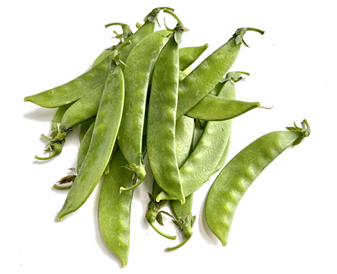 荷兰豆 Snow pea