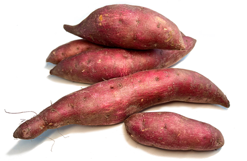 红薯 Sweet potato