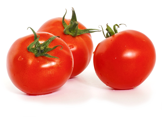 西红柿 Tomato